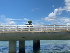 -演武大桥观景平台