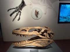 -自贡恐龙博物馆