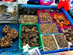 -鸿港海鲜批发市场