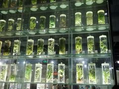 -广东中医药博物馆