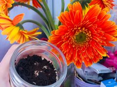 -西点坊(浦东香格里拉店)