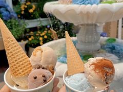 -苏小糖(鼓浪屿三丘田花园店)