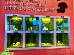 -芸山季·云南野生菌火锅(宝能环球汇店)