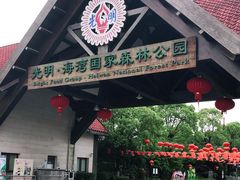 -上海海湾国家森林公园