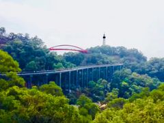 -金鸡山公园