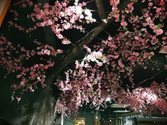 -黄家码头老火锅(解放碑旗舰店)