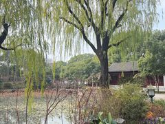 -秋霞圃