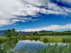 -野鸭湖国家湿地公园