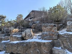 -青藏高原野生动物园