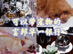 -富邦华一银行(新天地支行)