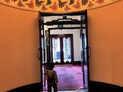 -上海和平饭店龙凤厅 Dragon Phoenix
