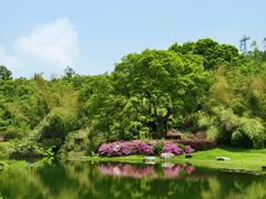 -东湖磨山景区