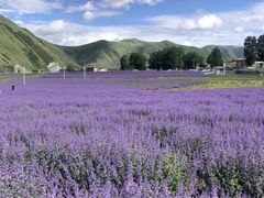 -麗枫酒店(成都理工大学地铁站店)