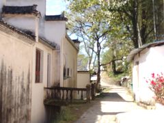 -塔川景区