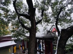 -华清宫景区