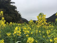 -广州市石门国家森林公园