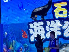 -石家庄海洋公园