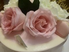 -山与蓝·轻糖鲜果蛋糕(勒泰店)