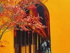 -龙华寺