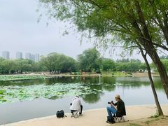 -太阳宫公园