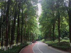 -龙头寺公园