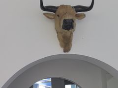 -黄牛肉馆·皖南土菜