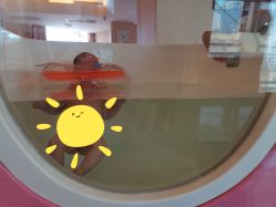 -喜宝母婴月子会所