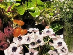 -素清香(解放路店)