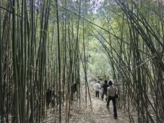 -井空里大峡谷