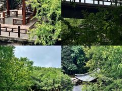 -国家植物园