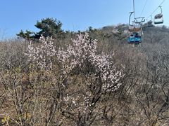 -富斯特索道