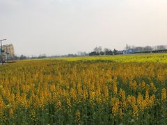 -中国天府农业博览园