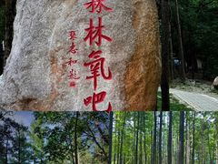 -洛阳白云山景区