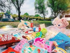 -上海共青森林公园