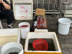-铜元老码头鳝鱼火锅