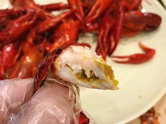 小龙虾-靓靓蒸虾·头牌蒸虾(南山桂庙店)