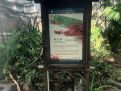 -三亚珠江南田温泉度假区