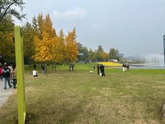 -千年银杏谷文化旅游区