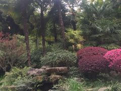 -四川大学博物馆