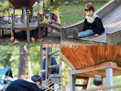 -南宁良凤江国家森林公园