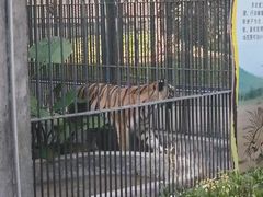 -新疆天山野生动物园