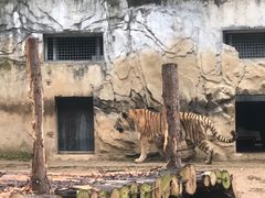 -黔灵山公园