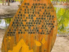 -金塔沙漠胡杨林景区