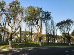 -鸡柳大人(宁大店)