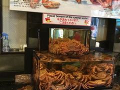 -蟹道乐(道顿堀本店)