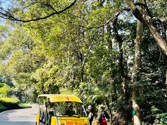 -白云山风景名胜区