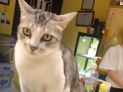 -谜盒子奇幻密室(南屏店)