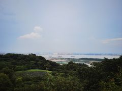 -广州莲花山旅游区