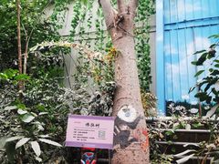 -呀路古热带植物园
