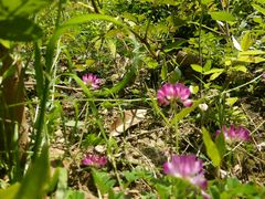 -宁波五龙潭景区